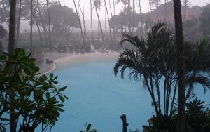Palms Mount Lavinia