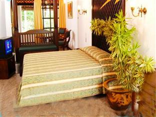 Palms Mount Lavinia