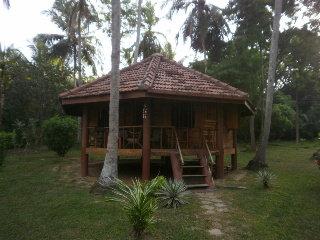 Palm Paradise Cabanas