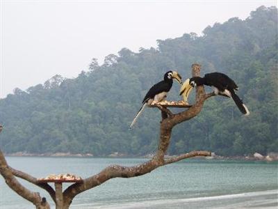 Pangkor Island Beach Resort