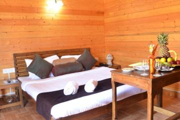 Отель Paradise Village Beach Resort Индия, Калангут, фото 28