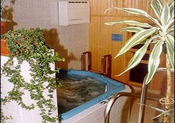 Отель Park Hotel Heviz Венгрия, Хевиз, фото 5