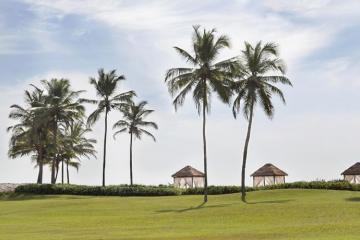 Отель ITC Grand Goa, a Luxury Collection Resort & Spa Индия, Уторда, фото 15