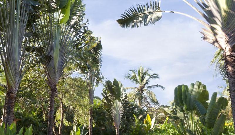 ITC Grand Goa, a Luxury Collection Resort & Spa