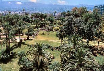 Отель Parque Vacacional Eden Испания, о Тенерифе, фото 12