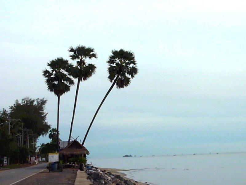 Pattawia Resort & Spa