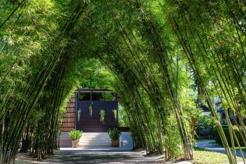 Отель NH Collection Samui Peace Resort Таиланд, пляж Бо Пхут, фото 15