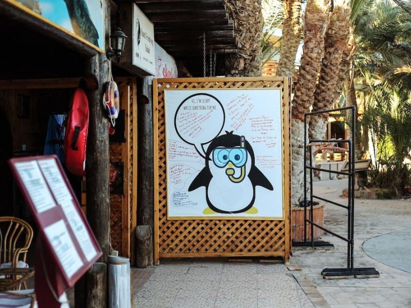 Penguin Village