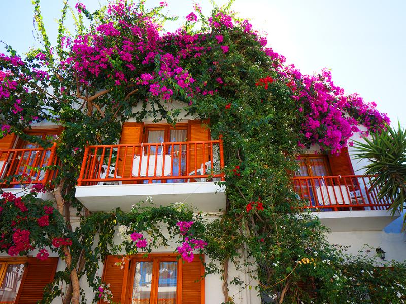 Arian Hotel 