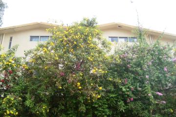 Отель Perola Do Mar Resort Индия, Кандолим, фото 18