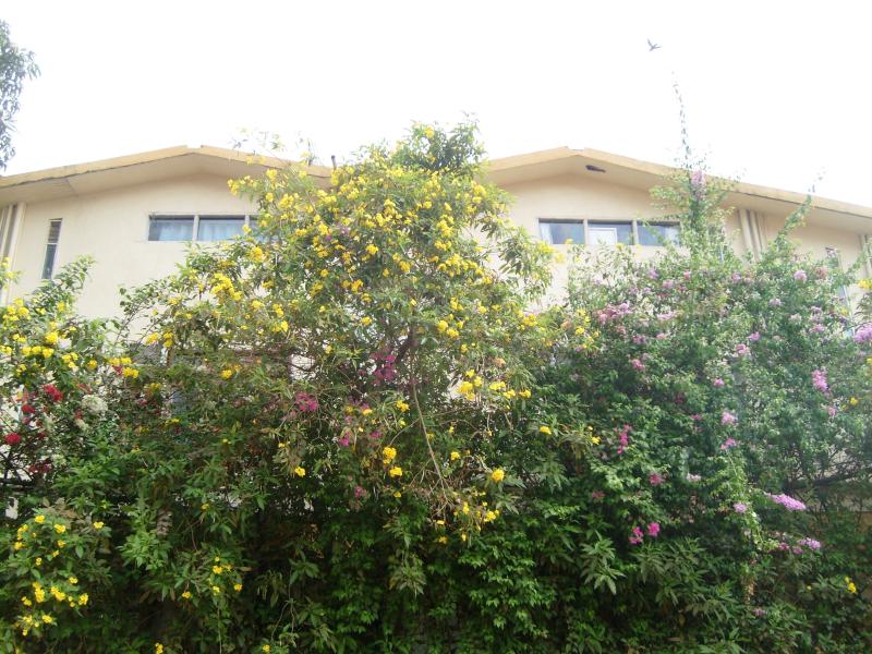 Perola Do Mar Resort