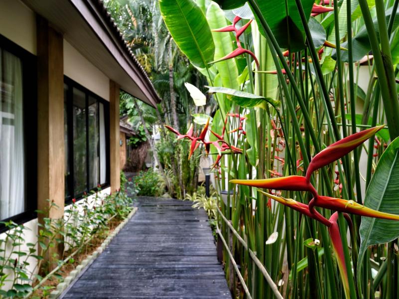 Phuket Island View Hotel