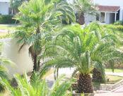 Cora Hotel & Spa Resort