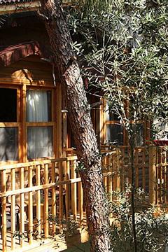 Отель Pine Valley Турция, Олюдениз, фото 35