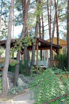 Отель Pine Valley Турция, Олюдениз, фото 44