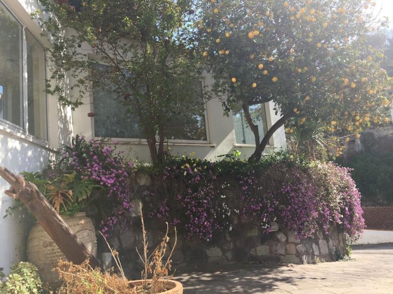 Hotel Pithaeusa