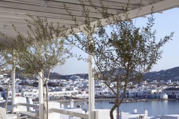 Отель Porto Myconos Hotel Греция, о Миконос, фото 2
