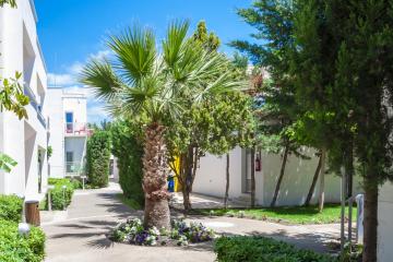 Отель Armonia Holiday Village & Spa Турция, Бодрум, фото 18