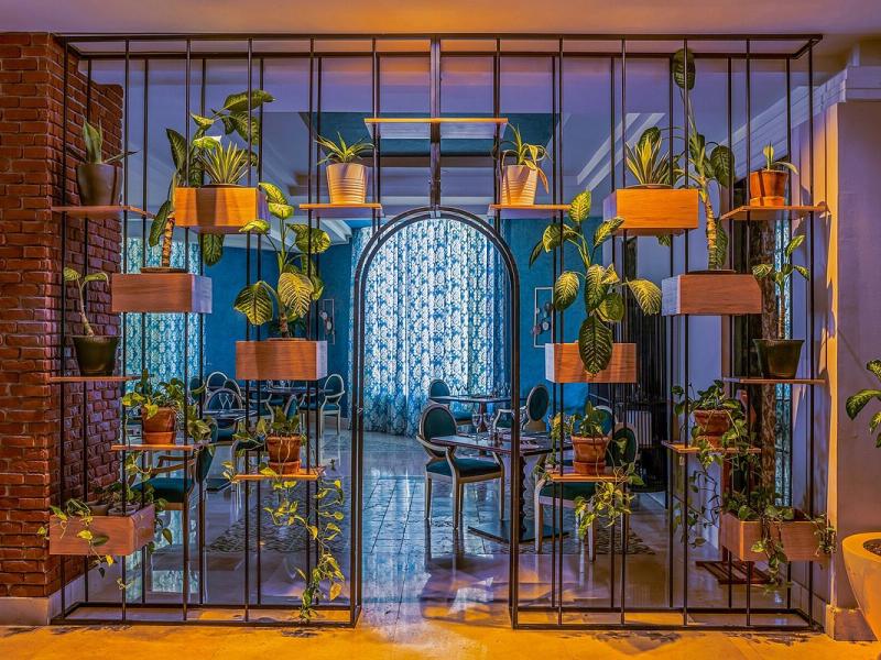 Rixos Sharm El Sheikh Adults Friendly (18+)