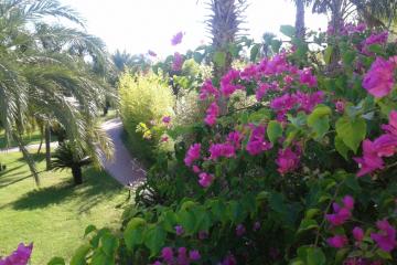 Отель Presa Di Finica Турция, Финике, фото 19