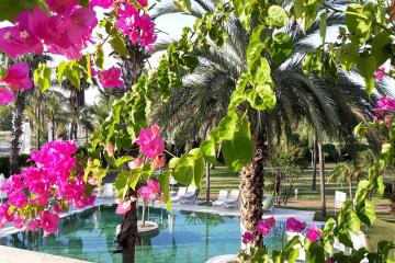 Отель Presa Di Finica Турция, Финике, фото 24