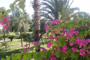 Отель Presa Di Finica Турция, Финике, фото 27