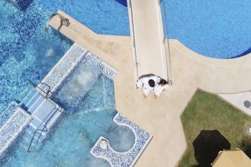 Отель Hotel President Terme Италия, Абано-Терме, фото 8