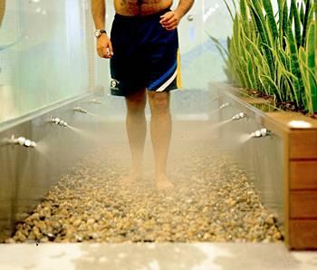 Prestige Victoria Hotel & Spa Elit