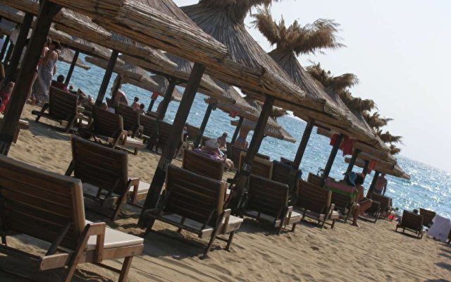 PrimaSol Sunlight Sunrise