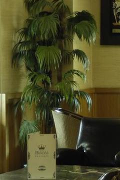 Отель Boutique Princess Hotel Турция, Стамбул, фото 10