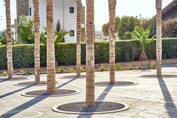 Отель Princess Sun Hotel Греция, Киотари, фото 53