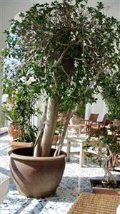 Punta Campanella Resort & Spa