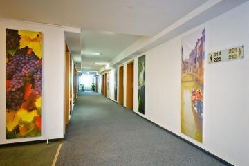 Отель Istra Garden Hotel Россия, Москва, фото 6