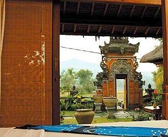 Puri Bagus Manggis