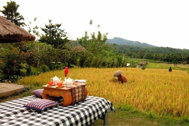 Puri Bagus Manggis