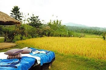 Puri Bagus Manggis