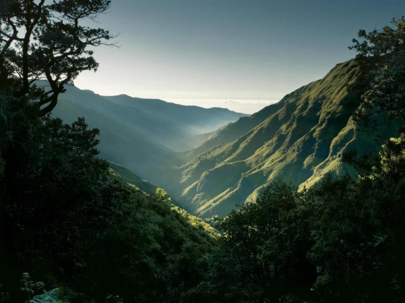 Quinta da Casa Branca