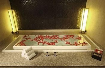 Отель Radisson Blu Plaza Delhi Airport Индия, Дели, фото 26