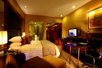 Отель Radisson Blu Plaza Delhi Airport Индия, Дели, фото 8