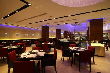 Отель Radisson Blu Plaza Delhi Airport Индия, Дели, фото 10