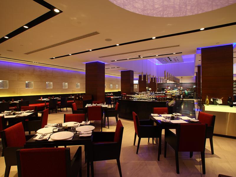 Radisson Blu Plaza Delhi Airport