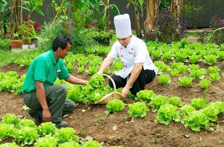 Ramada Plaza Herradura