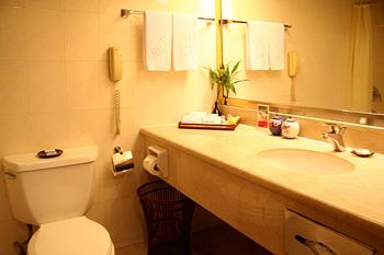 Ramada Plaza Tian Lu Hotel Wuhan