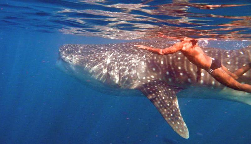 ZAZZ Island Maldives