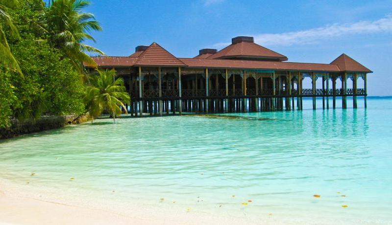 ZAZZ Island Maldives