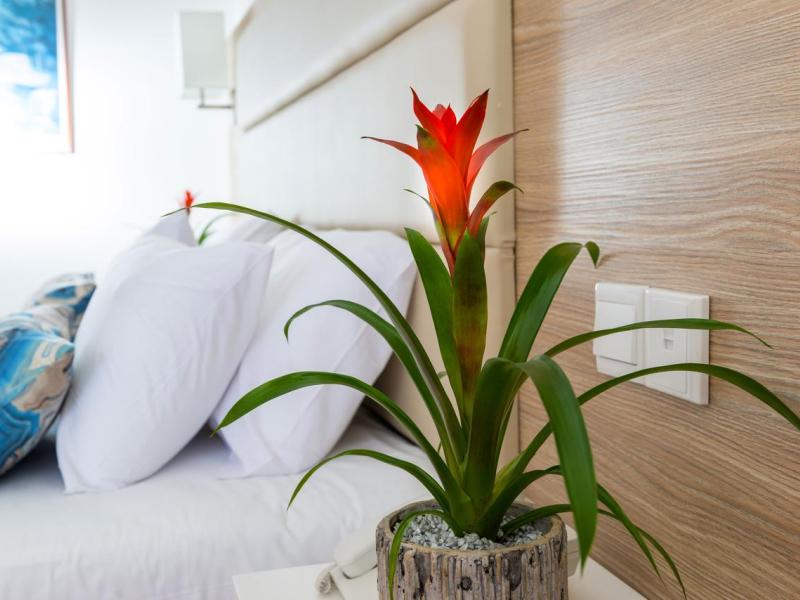 Ascos Coral Beach Hotel