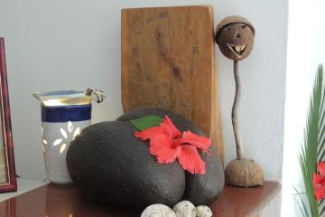 Отель Reef Holidays Apartments Сейшелы, о Маэ, фото 14