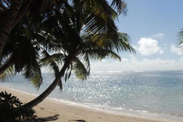 Отель Reef Holidays Apartments Сейшелы, о Маэ, фото 25