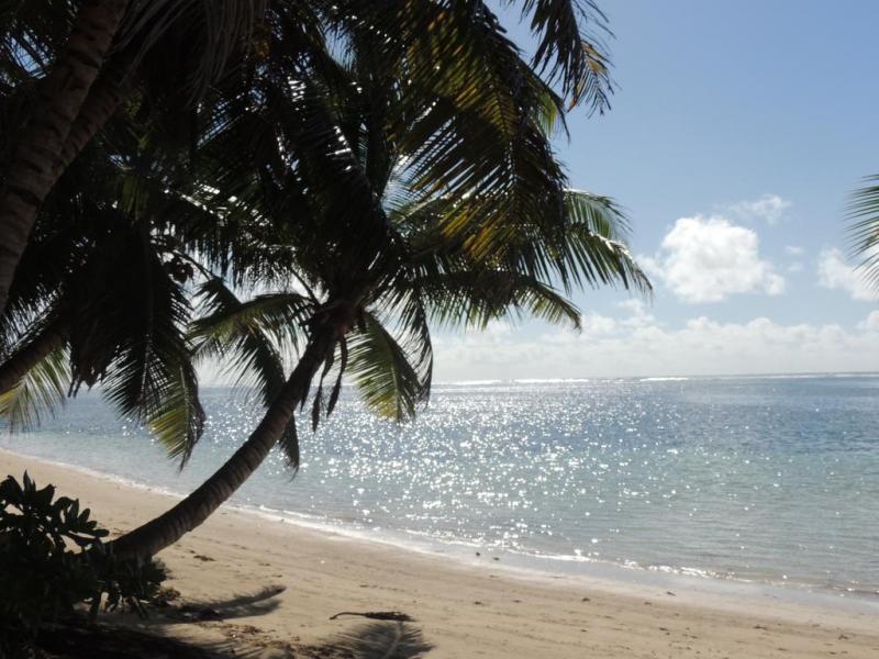 Reef Holidays Apartments