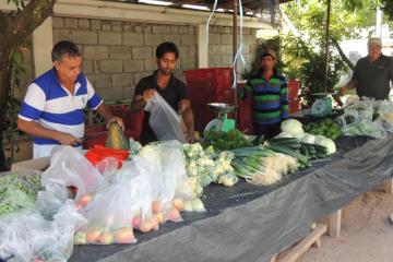 Отель Reef Holidays Apartments Сейшелы, о Маэ, фото 26